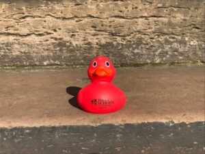 a picture of the red high school of Dundee rubber duck