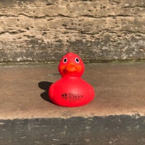 a picture of the red high school of Dundee rubber duck