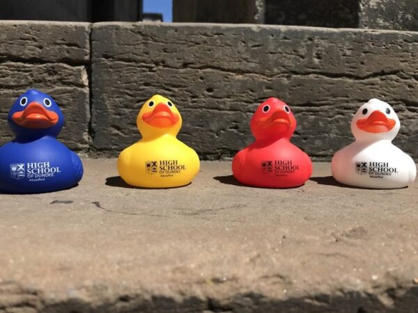 a picture of the variety of high school of Dundee rubber duck