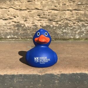 a picture of the blue high school of Dundee rubber ducks