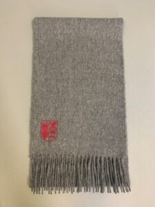 a picture of one of the schools scarfs with a red logo