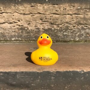 a picture of the yellow high school of Dundee rubber duck